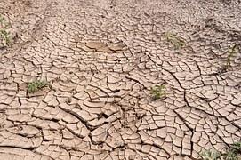 Din cauza modificărilor climatice, va creşte frecvenţa bolilor infecţioase, a depresiilor, alergiilor, crizelor de astm... Din cauza modificărilor climatice, va creşte frecvenţa bolilor infecţioase, a depresiilor, alergiilor, crizelor de astm...