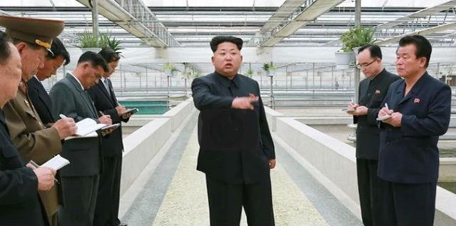 EXECUȚIE a la Kim Jong-un. Managerul unei ferme de broaște țestoase, ÎMPUȘCAT. Cu ce l-a supărat pe liderul de la Phenian (VIDEO)