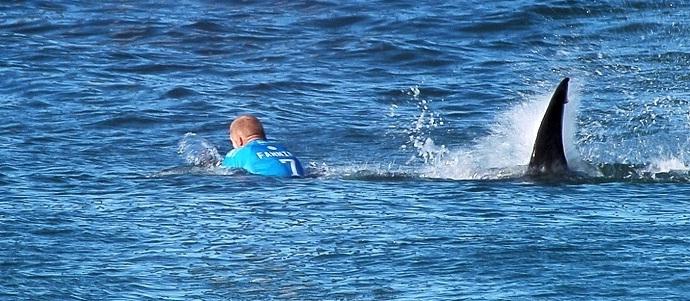 IMAGINI TERIFIANTE. Triplu campion mondial la surf, ATACAT de rechin, LIVE, în timpul unei competiții televizate (VIDEO)