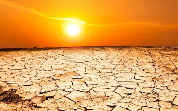 Cum se trăieşte la 74 de grade Celsius. Viaţa în SAUNA din Orientul Mijlociu Cum se trăieşte la 74 de grade Celsius. Viaţa în SAUNA din Orientul Mijlociu