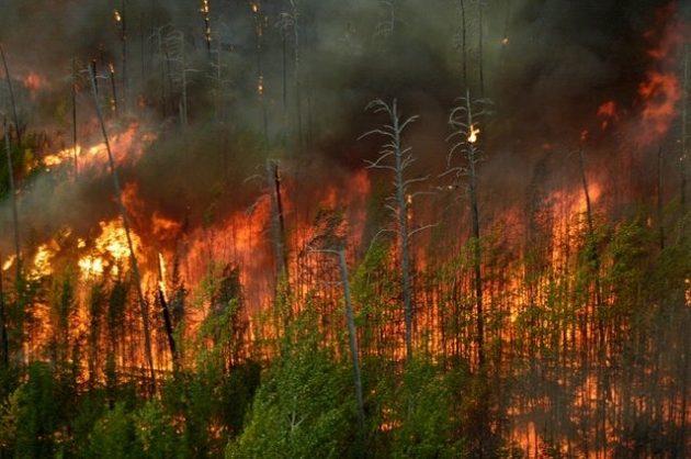 Incendiu în Retezat: 6 hectare de pădure mistuite, pompierii nu reușesc să stingă focul