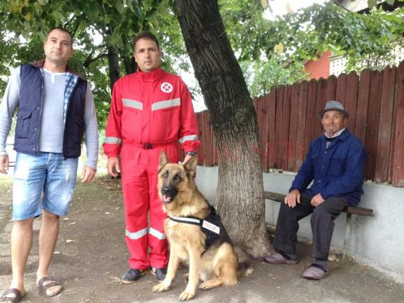 Kasim, câinele erou care a salvat viaţa unui bătrân din Mischii