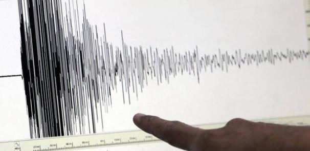 CUTREMUR, în această dimineață, în Oltenia. Seismul s-a produs la 14 kilometri adâncime