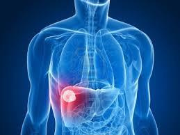 Virusul hepatitic C atacă ficatul, dar şi inima! Virusul hepatitic C atacă ficatul, dar şi inima!