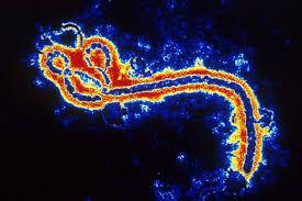 Ebola revine în Sierra Leone: un deces şi 50 de persoane în carantină Ebola revine în Sierra Leone: un deces şi 50 de persoane în carantină