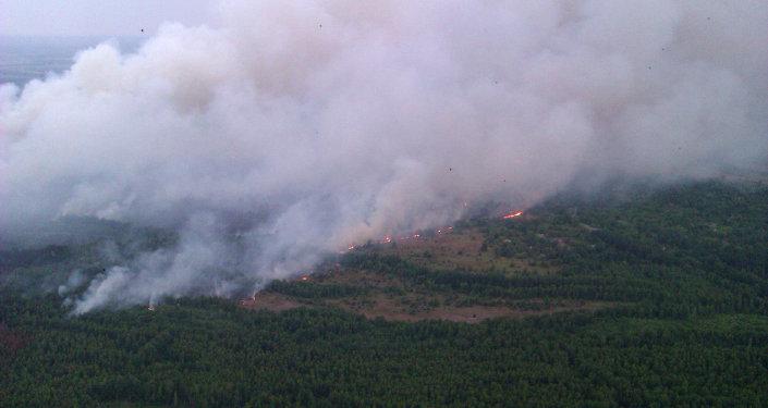 Atenționare de călătorie Ucraina: Incendii de pădure în apropierea Kievului