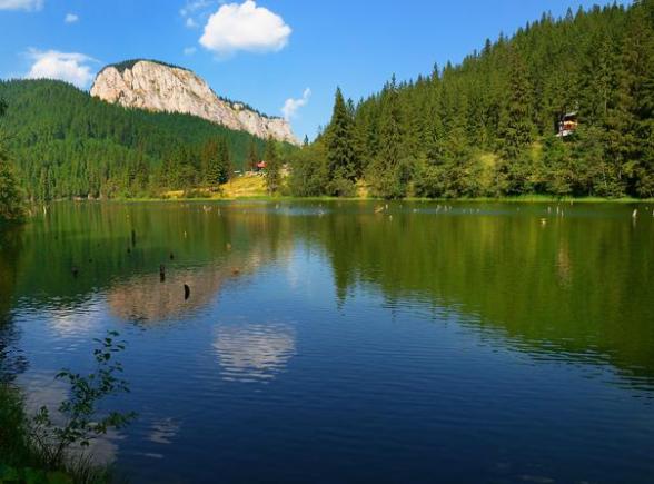 Redescoperă România. Lacul Roșu - Pădurea înecată