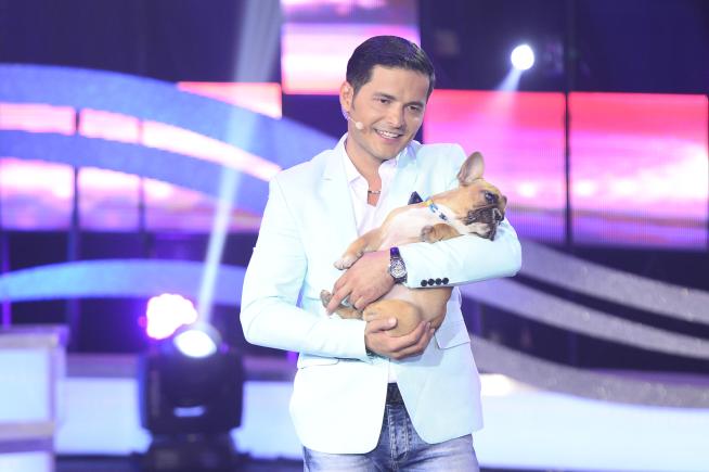 În timpul filmărilor pentru „Ham talent”, Liviu Vârciu a devastat cabina lui Mihai Petre
