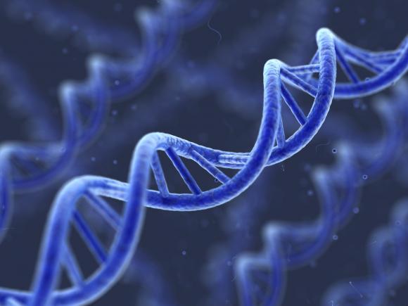 Cercetătorii britanici cer licenţă pentru modificarea genetică a embrionilor umani
