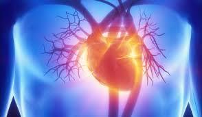 Premieră medicală la Sibiu: Implantarea unei proteze cardiace aortice transcateter minim invazivă, fără deschiderea sternului