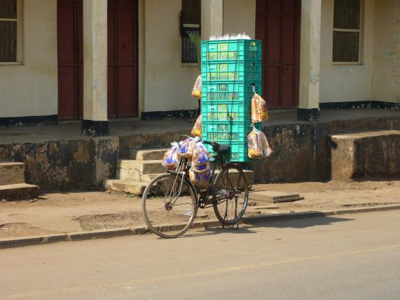 Cinci barbati vor sa parcurga peste 10.000 de kilometri prin Africa cu bicicleta