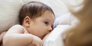 Laptele matern are proprietăţi antiinflamatoare şi cicatrizează rănile