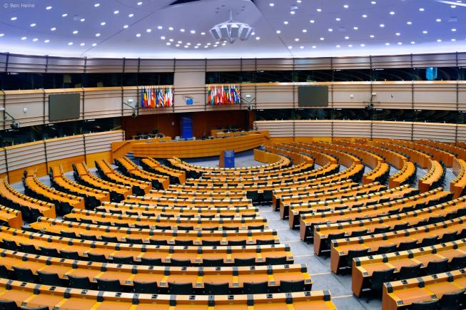 Doi eurodeputați au fost suspendați și amendați pentru salutul nazist