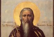 Calendar ortodox 4 noiembrie: Cuviosul Ioanichie cel Mare de la Muntele Olimp