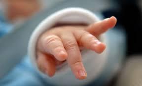 Stare de urgenţă naţională din cauza microcefaliei la nou-născuţi. Cauza: înţepăturile de ţânţari