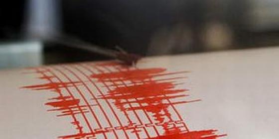 Cutremure de 3 grade pe scara Richter în Vrancea