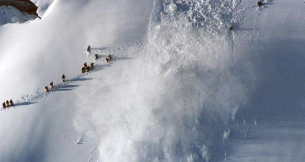 Avalanșă în Alpi. Doi Morți, Trei Răniți și Cinci Dispăruți