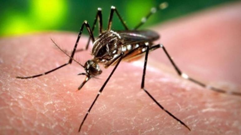 Trei persoane contaminate cu virusul Zika au decedat în Columbia