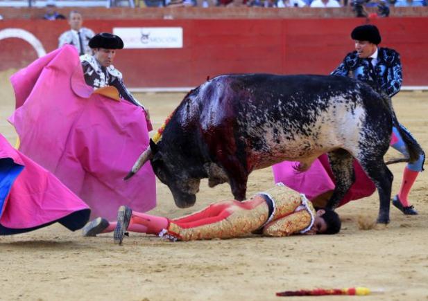 Primul matador care moare, după 31 de ani, la o coridă 