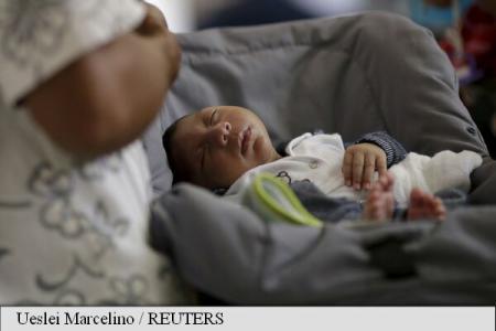 Virusul Zika: Mii și mii de bebeluși ar putea veni pe lume cu malformații