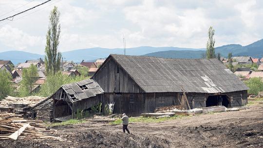 NZZ: Jaful capitalist și falimentul statului au lăsat România fără păduri