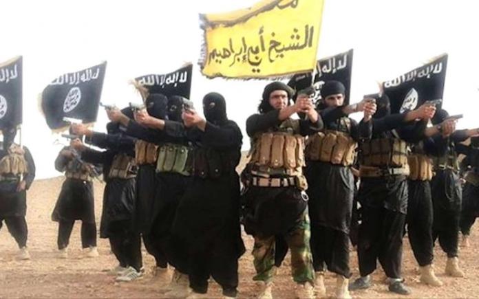 Raport secret ISIS: jihadiștii, deși omoară în numele Islamului, habar nu au de Coran și sharia!