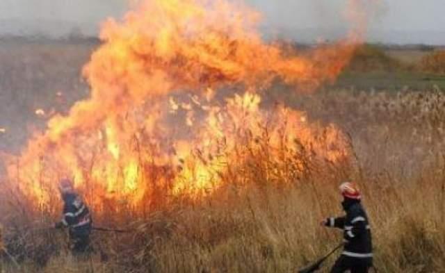  Incendiu de vegetație și stare de urgență în SE Bulgariei