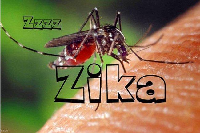 2,6 miliarde de persoane sunt expuse riscului de infecție cu Zika