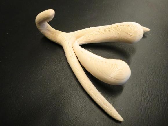Clitoris imprimat 3D, destinat cursurilor de educaţie sexuală