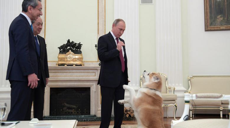 Yume, câinele lui Putin, nervos cu jurnaliștii japonezi (VIDEO)