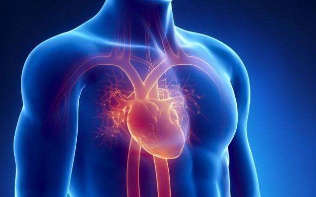 Bolile cardiovasculare: Stresul, dușmanul arterelor! 