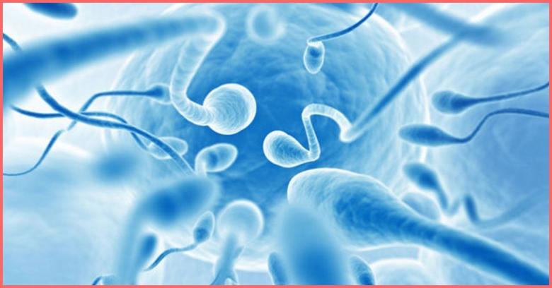 Regimul mediteranean îmbunătăţeşte calitatea spermei şi fertilitatea 