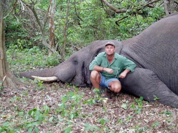 Revolta animalelor ucise!? Un vânător, mort după ce-a fost strivit de un elefant!