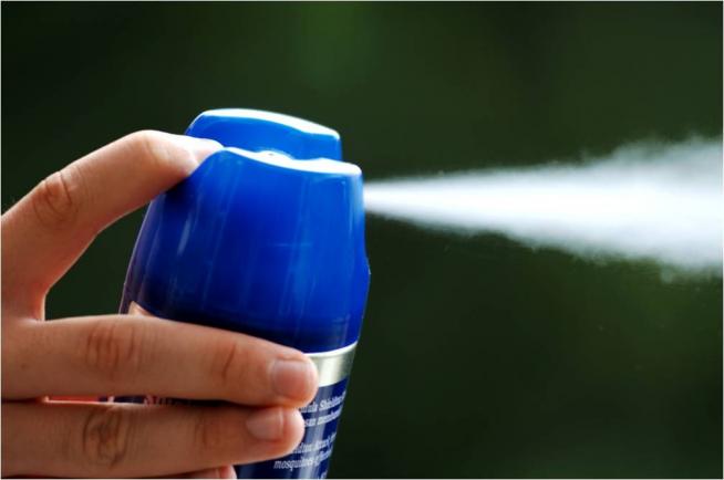 Căldură, muşte, ţânţari? Pericolul acumulării spray-ului contra insectelor în casă