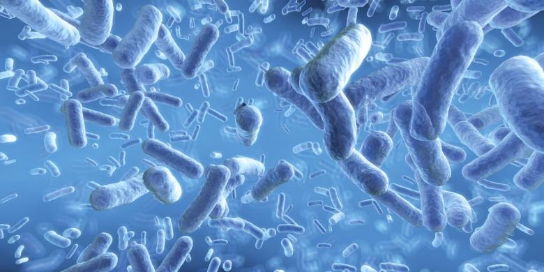 Ce sunt probioticele si de ce sunt importante pentru organism