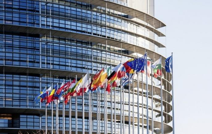 Parlamentul European a adoptat rezoluția la adresa României privind statul de drept