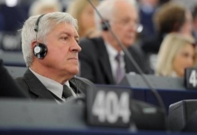Mircea Diaconu, în Parlamentul European: Lăsați România să-și găsească calea singură.  În România este democrație! (VIDEO)