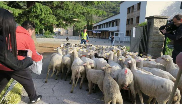 INGENIOS: 15 oi au fost înscrise la școală, într-un sat din Franța, pentru a se evita închiderea unei clase