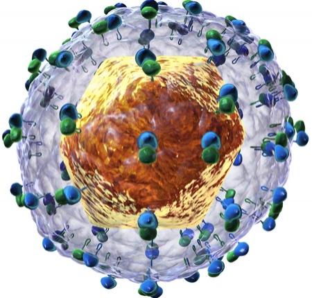 STUDIU. O combinație a două medicamente antivirale generice ieftine poate vindeca hepatita C
