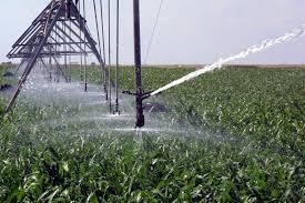 Agricultura în plină pandemie: Ministerul îndeamnă fermierii să semneze contractele pentru a beneficia de apă pentru irigații