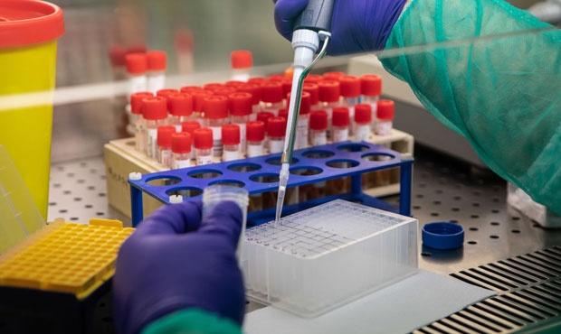 Un grup de specialişti ungari cercetează posibilitatea „imunizării pasive” a bolnavilor de coronavirus
