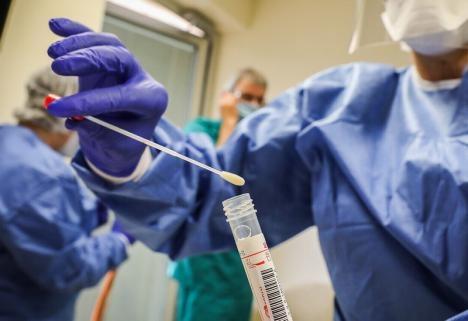 În Bihor a început testarea comunitară pentru coronavirus! La propunerea laboratorului Spitalului Judeţean, se foloseşte metoda testării în grup