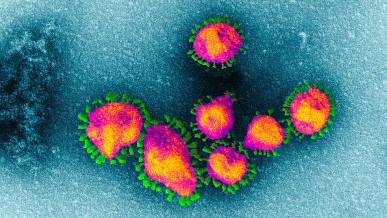 Pandemia în România: două scenarii de evoluție a coronavirusului după Paști