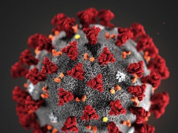 La două luni de la primul caz de coronavirus, Guvernul anunță că România a DEPĂȘIT 11.000 de infectări
