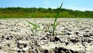 Ministrul Agriculturii face noi precizări legate de seceta din România