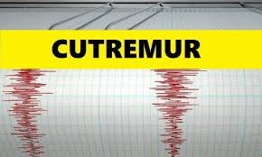 Cutremur de 7,4 grade pe Richter, în Mexic