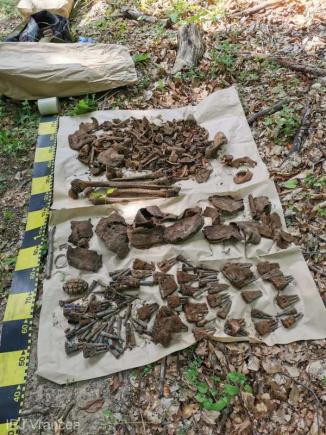 Oseminte și muniție ce par a fi vechi de 100 de ani, descoperite la Soveja