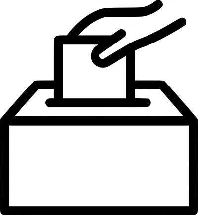 PNL a obţinut cele mai multe voturi pe ţară la alegerile locale