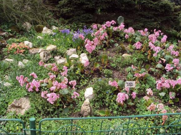 Grădina Botanică din Bucureşti – 160 de ani de la înfiinţare