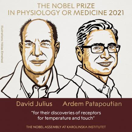Premiul Nobel pentru Medicină. Doi cercetători, David Julias și Ardem Patapoutian, au câștigat distincția, pentru descoperirea receptorilor de temperatură și atingere